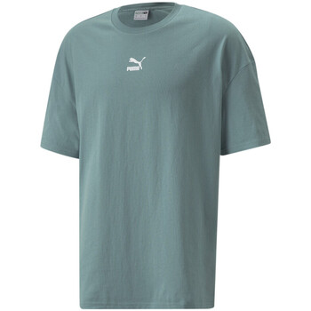 Vêtements Homme T-shirts manches courtes Puma 532135-50 Vert