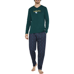 Vêtements Homme Pyjamas / Chemises de nuit Arthur Pyjama long coton Vert
