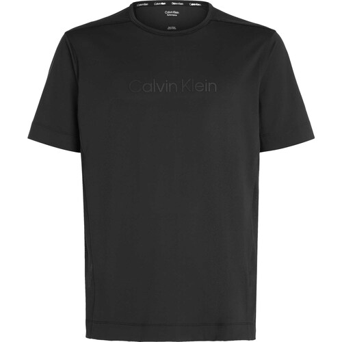Vêtements Homme T-shirts & Polos Calvin Klein Jeans Wo - Ss Tee Noir
