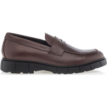 Chaussures Homme Mocassins Midtown District Happy new year Marron