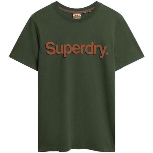 Vêtements Homme Shorts & Bermudas Superdry  Vert