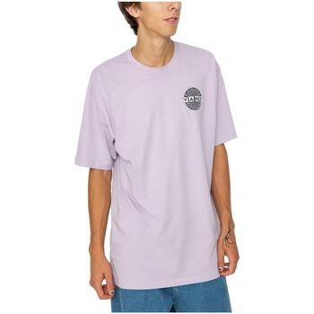 Vêtements Homme T-shirts manches courtes sk8 Vans  Violet