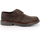Chaussures Homme Derbies & Richelieu IgI&CO 4600811 Marron