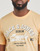 Vêtements Homme T-shirts manches courtes Jack & Jones JJELOGO TEE SS O-NECK 2 COL SS24 SN Orange