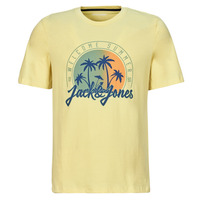 Vêtements Homme T-shirts manches courtes Jack & Jones JJSUMMER VIBE TEE SS CREW NECK Jaune