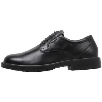 Chaussures Homme Derbies & Richelieu Imac 450208 Noir