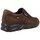 Chaussures Homme Derbies & Richelieu CallagHan Zapatos Casual Hombre de Callaghan Cambridge 56201 Marron
