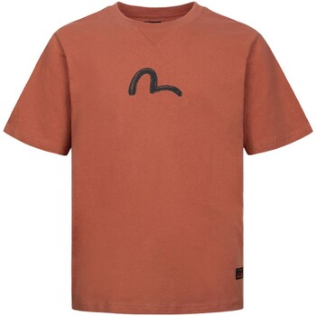 Vêtements Homme T-shirts manches courtes Evisu 0ELBSM0TS1146XXCT Multicolore