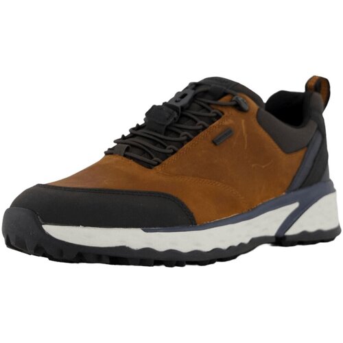 Chaussures Homme Baskets mode Geox  Marron