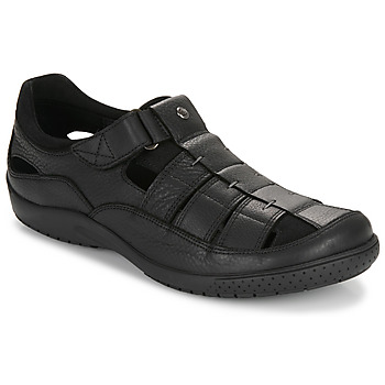 Chaussures Homme Sandales et Nu-pieds Panama Jack MERIDIAN C25 Noir