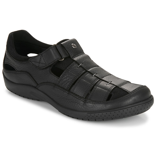 Chaussures Homme Nouveautés de ce mois Panama Jack MERIDIAN C25 Noir
