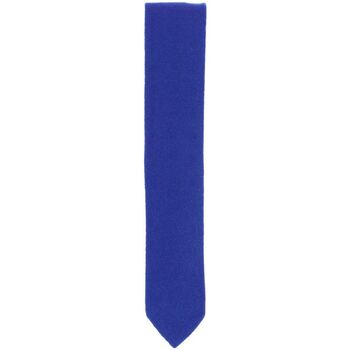 Vêtements Homme Cravates et accessoires Tony & Paul Cravate cachemire ALASHAN Bleu