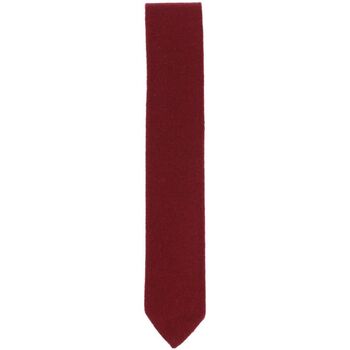 Vêtements Homme Cravates et accessoires Tony & Paul Cravate cachemire ALASHAN Rouge