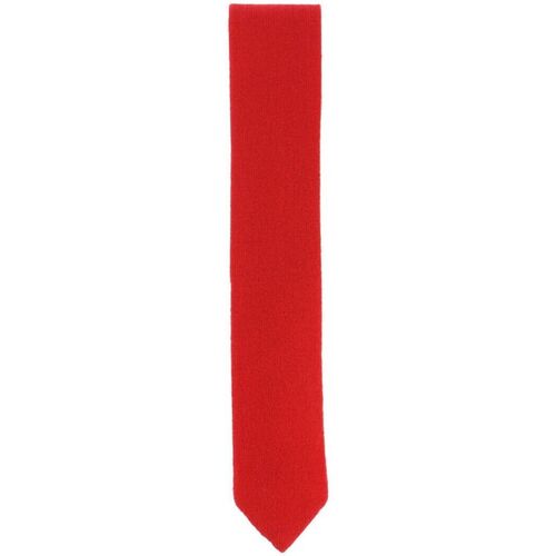 Vêtements Homme Cravates et accessoires Tony & Paul Cravate cachemire ALASHAN Rouge