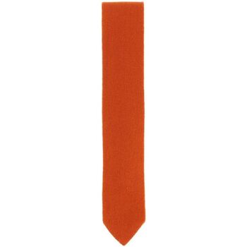 Vêtements Homme Cravates et accessoires Tony & Paul Cravate cachemire ALASHAN Orange