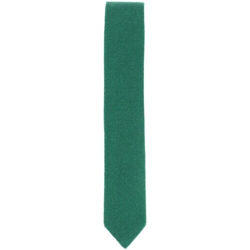 Vêtements Homme Cravates et accessoires Tony & Paul Cravate cachemire ALASHAN Vert