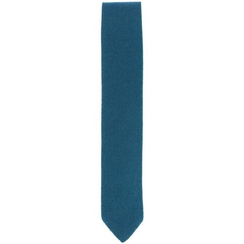Vêtements Homme Cravates et accessoires Tony & Paul Cravate cachemire ALASHAN Vert