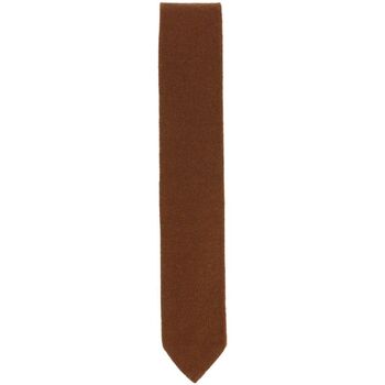 Vêtements Homme Cravates et accessoires Tony & Paul Cravate cachemire ALASHAN Marron