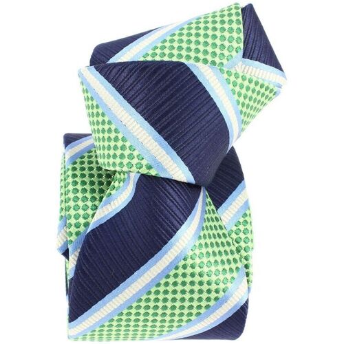 Vêtements Homme Cravates et accessoires Boivin Cravate étoile club Vert