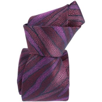 Vêtements Homme Cravates et accessoires Boivin Cravate étoile Seine Violet