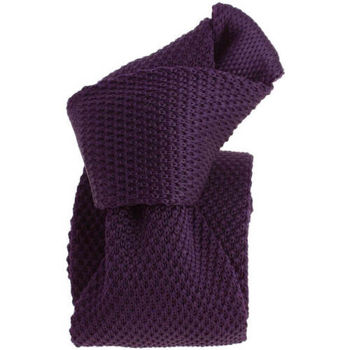 Vêtements Homme Cravates et accessoires Clj Charles Le Jeune Cravate tricot ARCOBALENO Violet