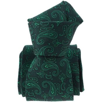Vêtements Homme Cravates et accessoires Segni Et Disegni Cravate soie Paisley Indien Vert