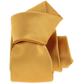 Vêtements Homme Cravates et accessoires Noeud Papillon Tricot Cornell Cravate Monochrome Orange
