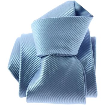 Vêtements Homme Cravates et accessoires Clj Charles Le Jeune Cravate Monochrome Bleu