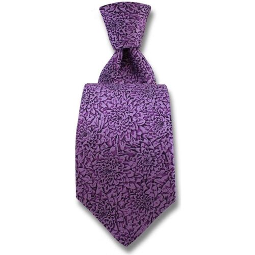 Vêtements Homme Cravates et accessoires Robert Charles Cravate Chrysanthèmes Violet