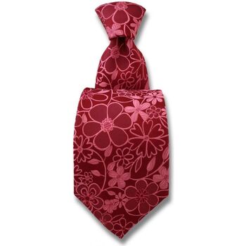 Vêtements Homme Cravates et accessoires Robert Charles Cravate Florence Rose