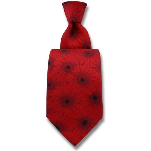 Vêtements Homme Cravates et accessoires Robert Charles Cravate Gerbera Rouge