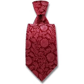 Vêtements Homme Cravates et accessoires Robert Charles Cravate Pasadena Rose