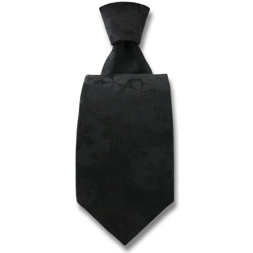 Vêtements Homme Cravates et accessoires Robert Charles Cravate Valentina Noir