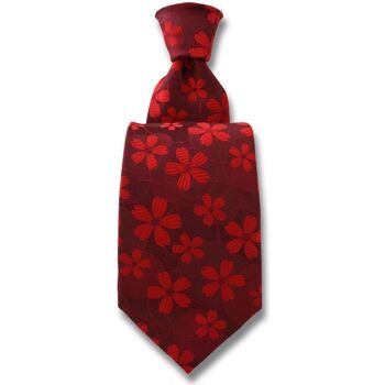 cravates et accessoires robert charles  cravate valentina 