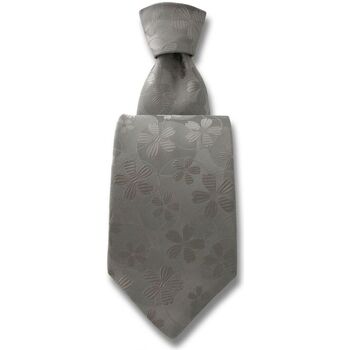 cravates et accessoires robert charles  cravate valentina 