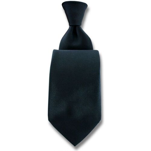 Vêtements Homme Cravates et accessoires Robert Charles Cravate Satin Noir