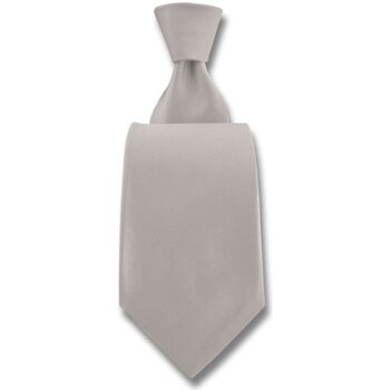 Vêtements Homme Cravates et accessoires Robert Charles Cravate Satin Blanc