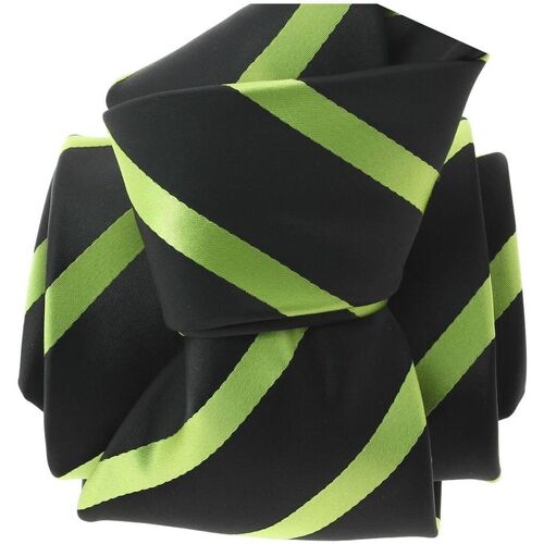 Vêtements Homme Cravates et accessoires Clj Charles Le Jeune Cravate URBANE CLUB Vert