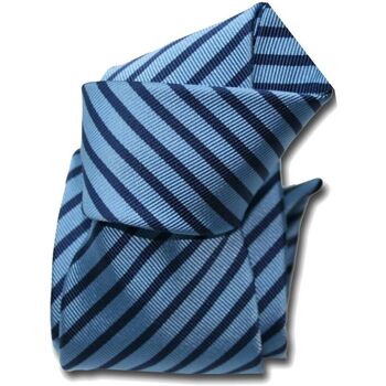 Vêtements Homme Cravates et accessoires Segni Et Disegni Cravate mogador Brescia Bleu