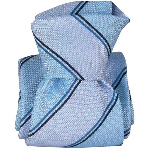Vêtements Homme Cravates et accessoires Segni Et Disegni Cravate classique Naval Bleu