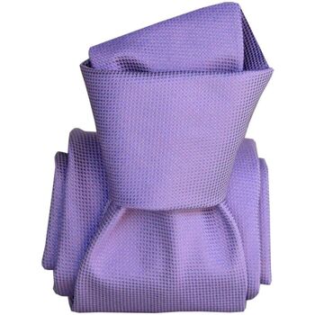 Vêtements Homme Cravates et accessoires Segni Et Disegni Cravate classique Luiji Violet