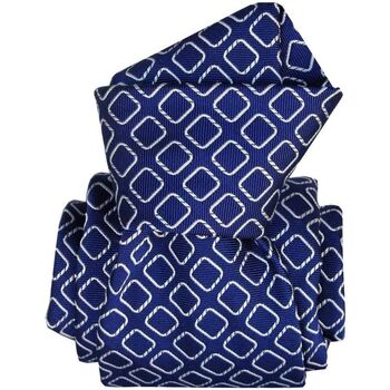 Vêtements Homme Cravates et accessoires Segni Et Disegni Cravate artisanale Aramis Bleu