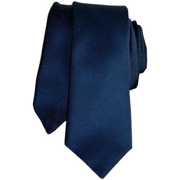Vêtements Homme Cravates et accessoires Segni Et Disegni Cravate slim Classique slim segni Bleu