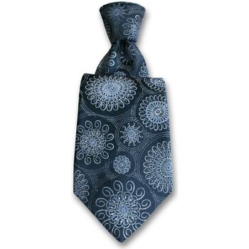 Vêtements Homme Cravates et accessoires Robert Charles Cravate Astoria Bleu