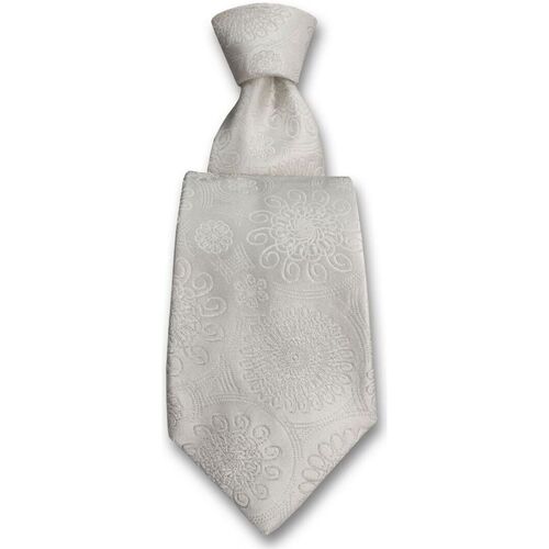 Vêtements Homme Cravates et accessoires Robert Charles Cravate Astoria Blanc