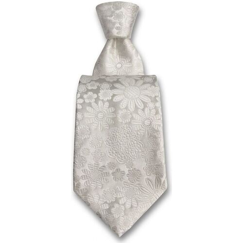 Vêtements Homme Cravates et accessoires Robert Charles Cravate Pisa Blanc