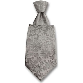 Vêtements Homme Cravates et accessoires Robert Charles Cravate Pisa Gris