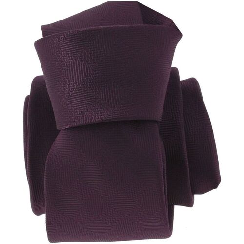 Vêtements Homme Cravates et accessoires Clj Charles Le Jeune Cravate CUBES Violet