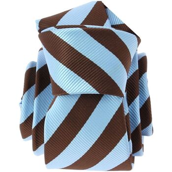Vêtements Homme Cravates et accessoires Clj Charles Le Jeune Cravate RUGBY Bleu
