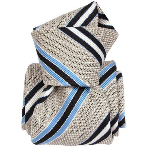 Vêtements Homme Cravates et accessoires Segni Et Disegni Cravate grenadine Westwood club Bleu